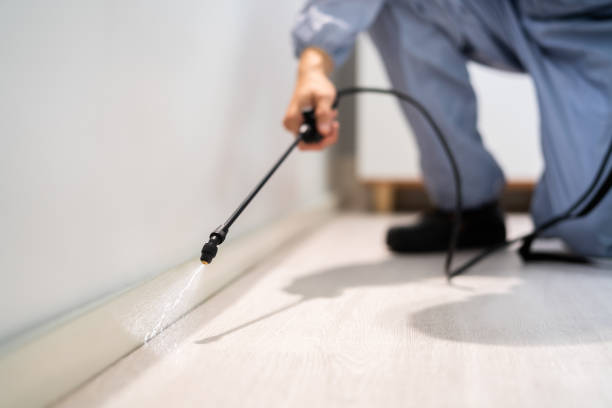 Licensed Termite Control service in Crandall, TX - Nex Pest Control