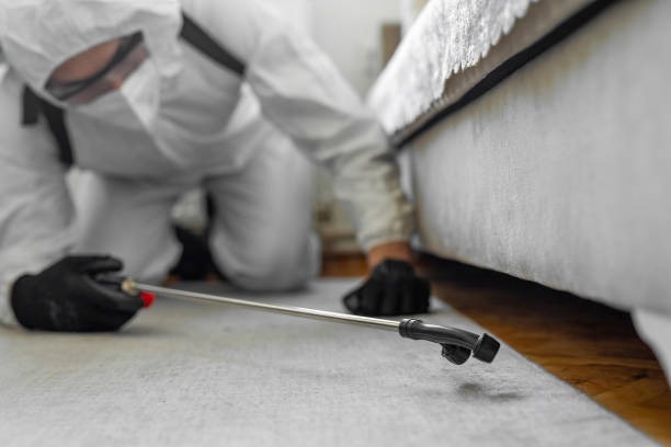 Professional Termite Control technician working in Crandall, TX