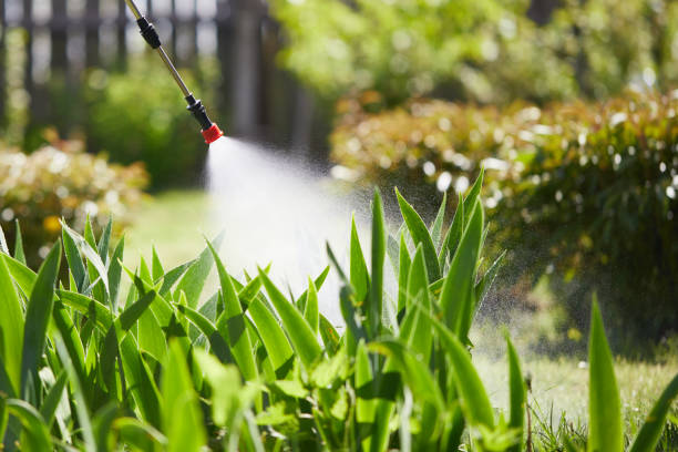 24/7 Emergency Termite Control experts in Crandall, TX