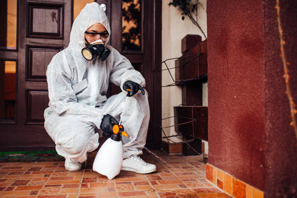 Reliable Termite Control contractor in Crandall, TX by Nex Pest Control