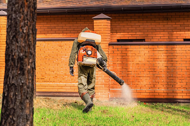 Top rated local Termite Control specialists in Crandall, TX